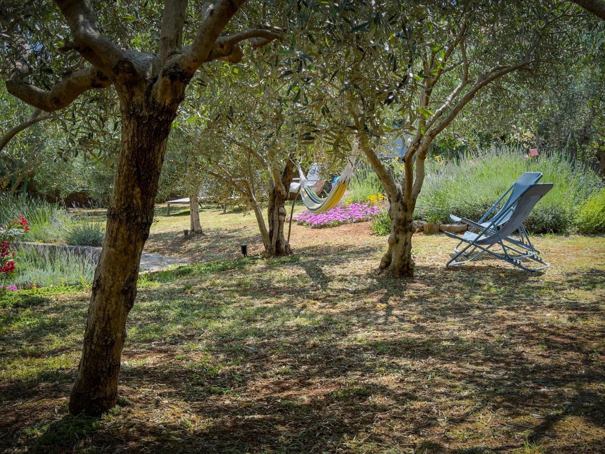 Holiday Home Lavanda Kornić 외부 사진